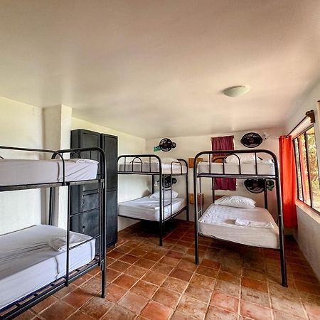 Coco Bay Hotel ลาลากูนา ภายนอก รูปภาพ